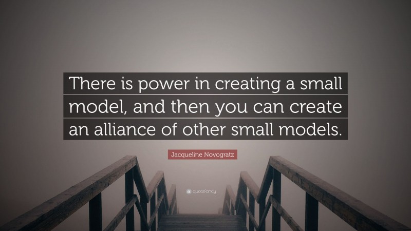 Jacqueline Novogratz Quote: “There is power in creating a small model, and then you can create an alliance of other small models.”
