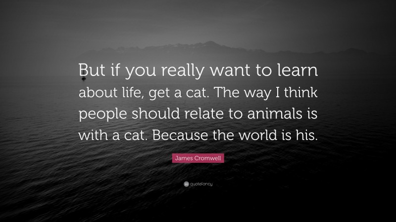 James Cromwell Quote: “But if you really want to learn about life, get a cat. The way I think people should relate to animals is with a cat. Because the world is his.”
