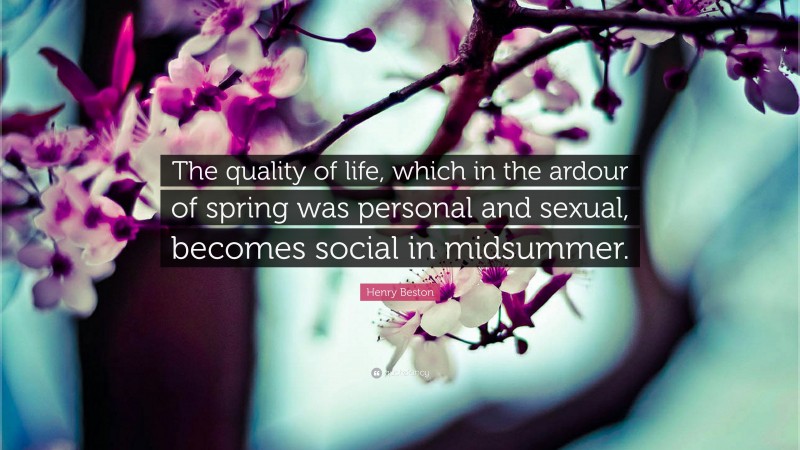 Henry Beston Quote: “The quality of life, which in the ardour of spring was personal and sexual, becomes social in midsummer.”