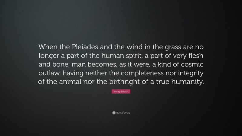 Henry Beston Quote: “When the Pleiades and the wind in the grass are no longer a part of the human spirit, a part of very flesh and bone, man becomes, as it were, a kind of cosmic outlaw, having neither the completeness nor integrity of the animal nor the birthright of a true humanity.”