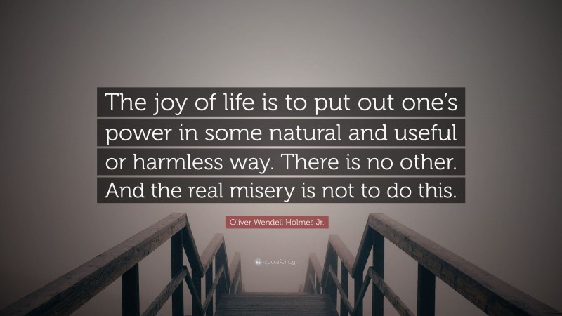 Oliver Wendell Holmes Jr. Quote: “The joy of life is to put out one’s power in some natural and useful or harmless way. There is no other. And the real misery is not to do this.”