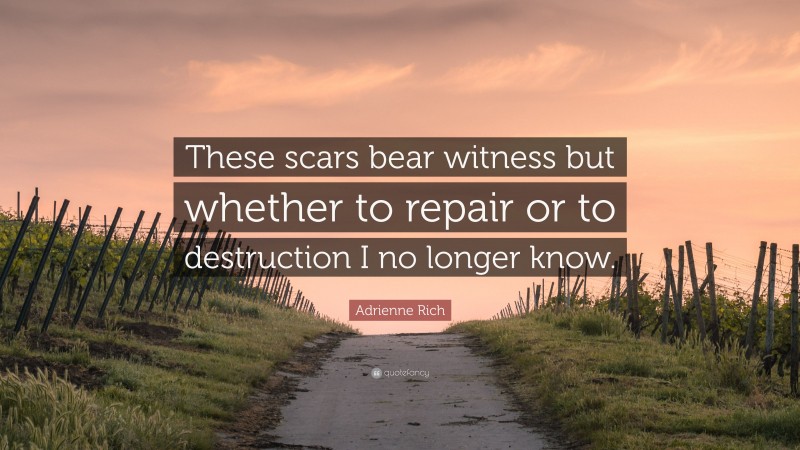 Adrienne Rich Quote: “These scars bear witness but whether to repair or to destruction I no longer know.”