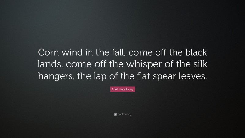 Carl Sandburg Quote: “Corn wind in the fall, come off the black lands, come off the whisper of the silk hangers, the lap of the flat spear leaves.”