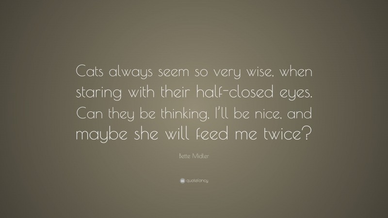 Bette Midler Quote: “Cats always seem so very wise, when staring with their half-closed eyes. Can they be thinking, I’ll be nice, and maybe she will feed me twice?”