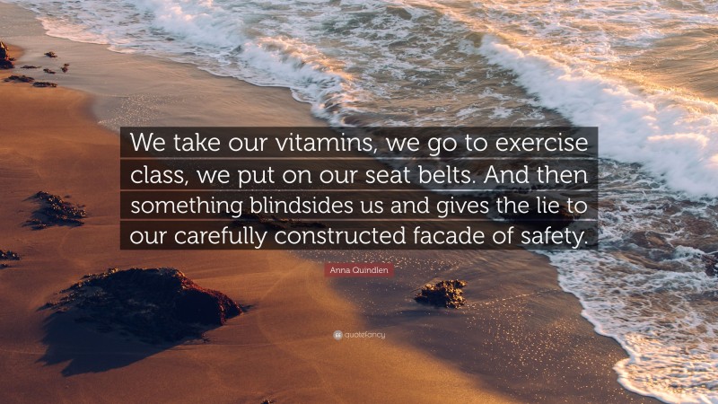 Anna Quindlen Quote: “We take our vitamins, we go to exercise class, we put on our seat belts. And then something blindsides us and gives the lie to our carefully constructed facade of safety.”