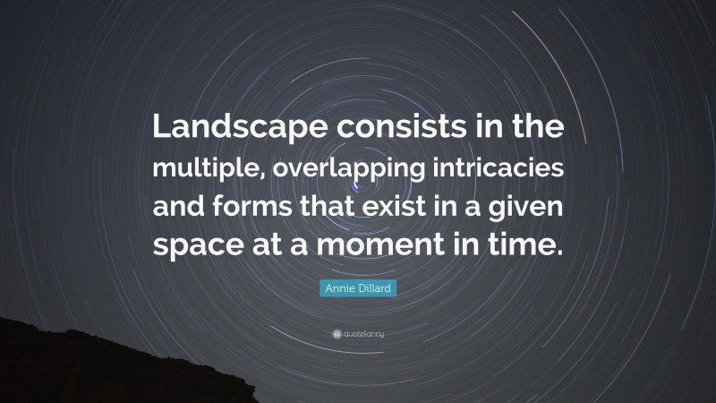 Annie Dillard Quote: “Landscape consists in the multiple, overlapping intricacies and forms that exist in a given space at a moment in time.”