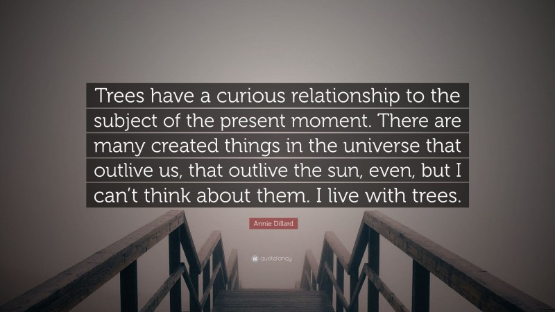 Annie Dillard Quote: “Trees have a curious relationship to the subject of the present moment. There are many created things in the universe that outlive us, that outlive the sun, even, but I can’t think about them. I live with trees.”
