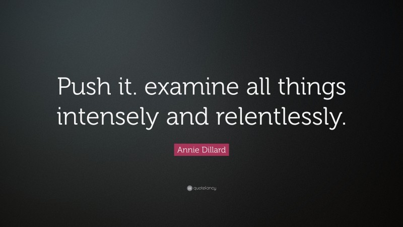 Annie Dillard Quote: “Push it. examine all things intensely and relentlessly.”