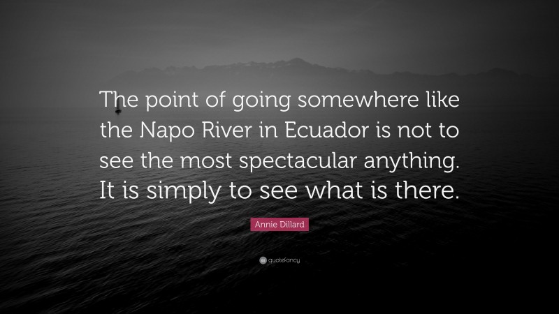 Annie Dillard Quote: “The point of going somewhere like the Napo River in Ecuador is not to see the most spectacular anything. It is simply to see what is there.”