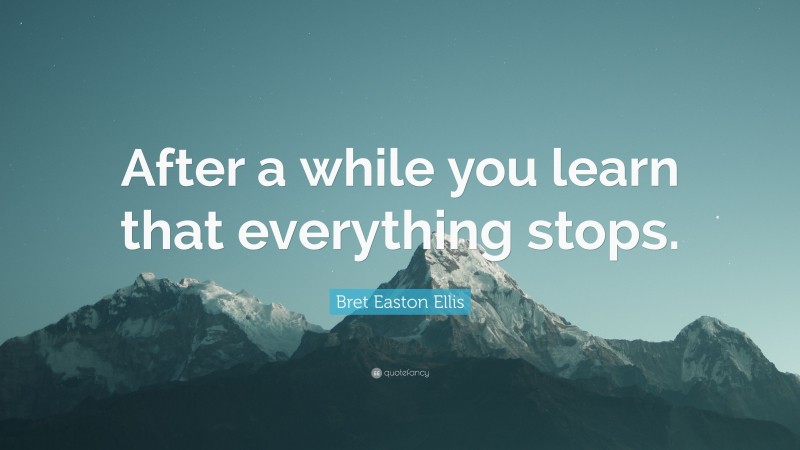 Bret Easton Ellis Quote: “After a while you learn that everything stops.”