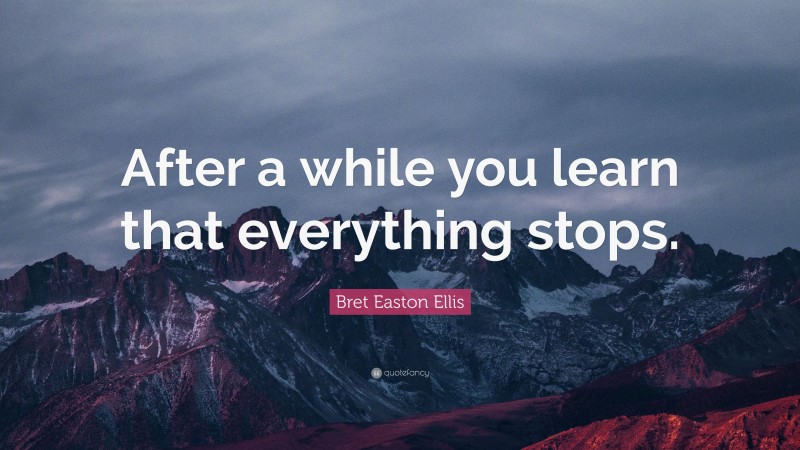 Bret Easton Ellis Quote: “After a while you learn that everything stops.”