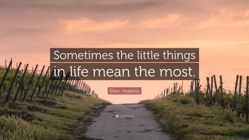 Ellen Hopkins Quote: “Sometimes the little things in life mean the most.”