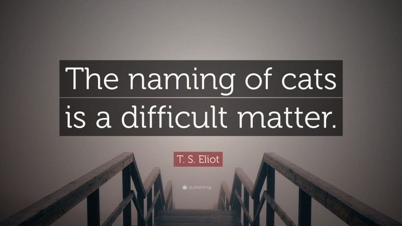 T. S. Eliot Quote: “The naming of cats is a difficult matter.”