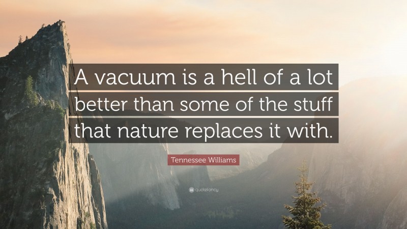 Tennessee Williams Quote: “A vacuum is a hell of a lot better than some of the stuff that nature replaces it with.”