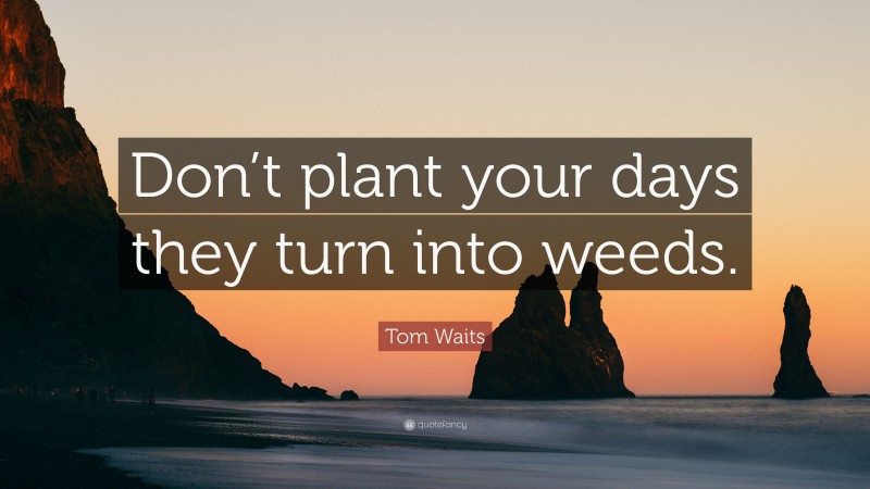 Tom Waits Quote: “Don’t plant your days they turn into weeds.”