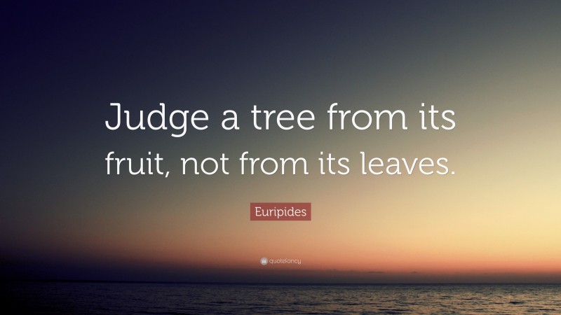 Euripides Quote: “Judge a tree from its fruit, not from its leaves.”