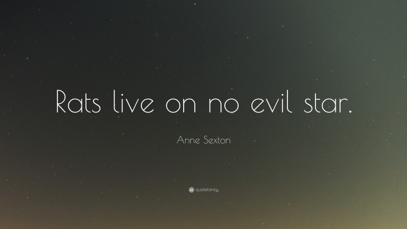 Anne Sexton Quote: “Rats live on no evil star.”