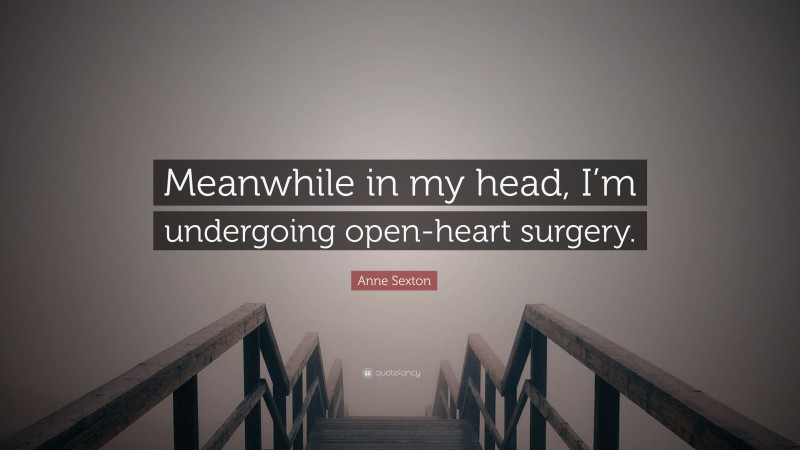 Anne Sexton Quote: “Meanwhile in my head, I’m undergoing open-heart surgery.”