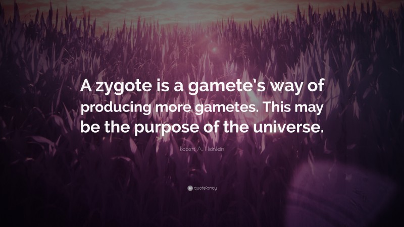 Robert A. Heinlein Quote: “A zygote is a gamete’s way of producing more gametes. This may be the purpose of the universe.”