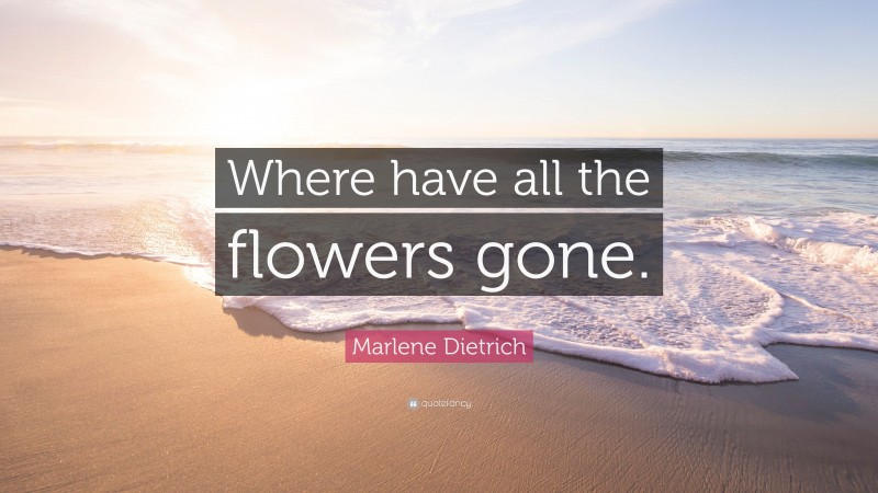 Marlene Dietrich Quote: “Where have all the flowers gone.”