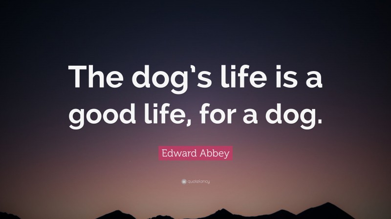 Edward Abbey Quote: “The dog’s life is a good life, for a dog.”