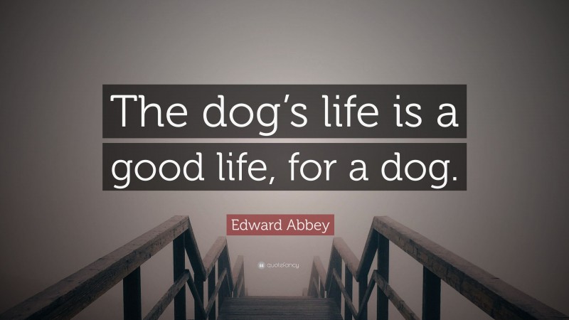 Edward Abbey Quote: “The dog’s life is a good life, for a dog.”
