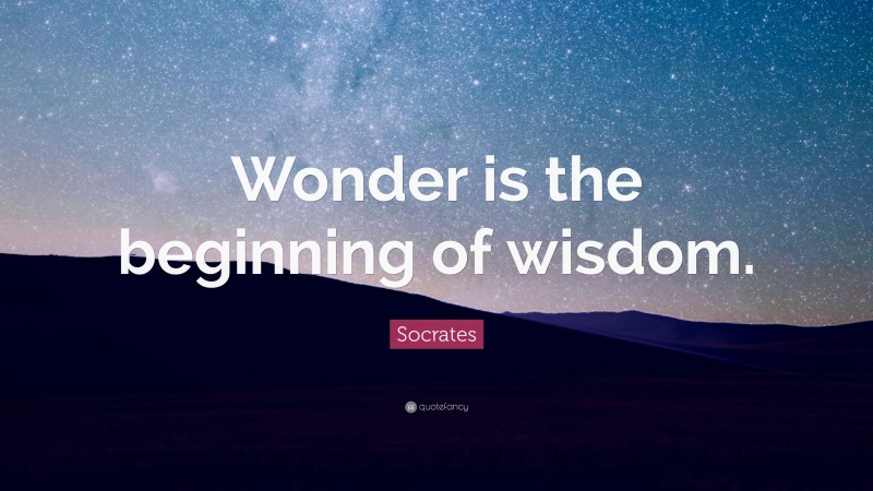 Socrates Quote: “Wonder is the beginning of wisdom.”