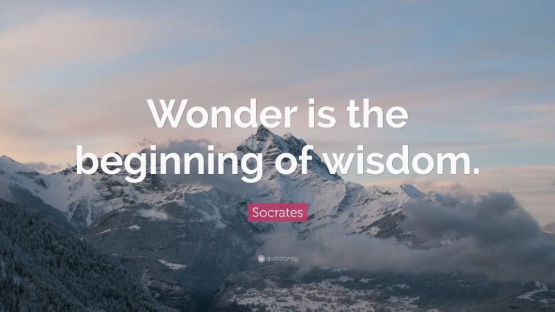 Socrates Quote: “Wonder is the beginning of wisdom.”