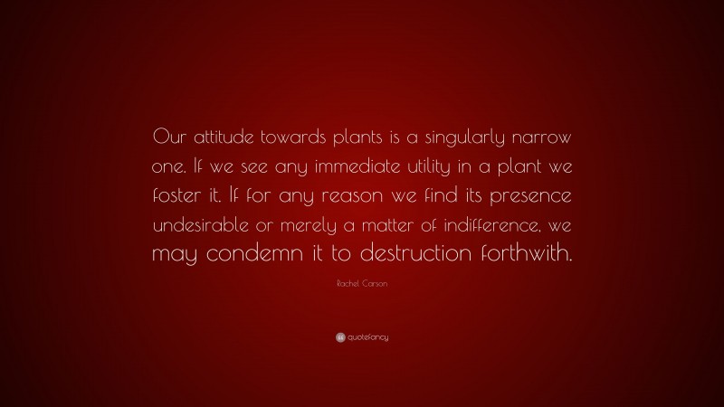 Rachel Carson Quote: “Our attitude towards plants is a singularly narrow one. If we see any immediate utility in a plant we foster it. If for any reason we find its presence undesirable or merely a matter of indifference, we may condemn it to destruction forthwith.”