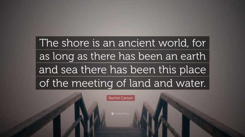 Rachel Carson Quote: “The shore is an ancient world, for as long as there has been an earth and sea there has been this place of the meeting of land and water.”