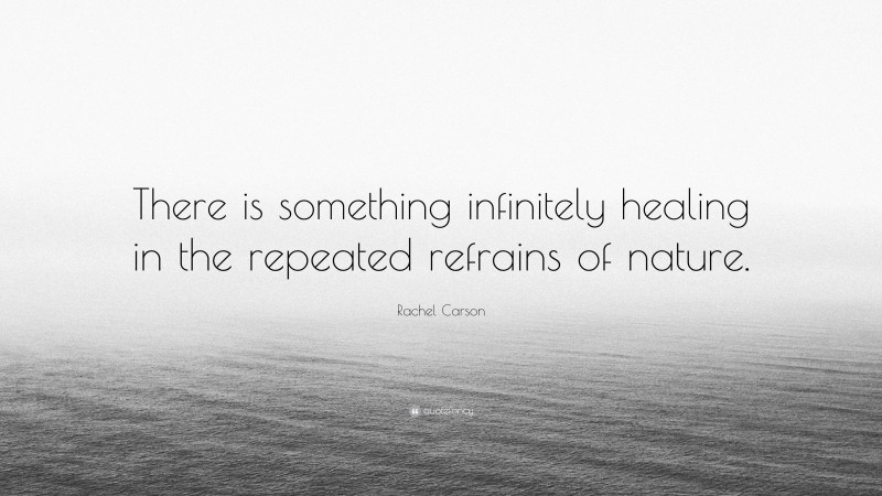 Rachel Carson Quote: “There is something infinitely healing in the repeated refrains of nature.”
