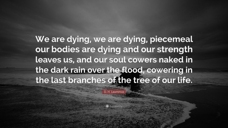 D. H. Lawrence Quote: “We are dying, we are dying, piecemeal our bodies are dying and our strength leaves us, and our soul cowers naked in the dark rain over the flood, cowering in the last branches of the tree of our life.”