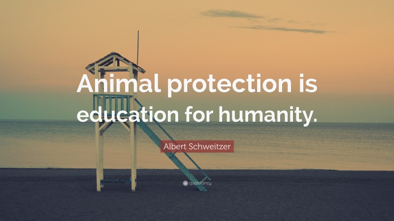 Albert Schweitzer Quote: “Animal protection is education for humanity.”