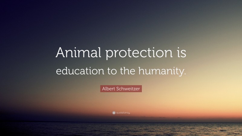 Albert Schweitzer Quote: “Animal protection is education to the humanity.”