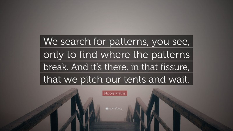 Nicole Krauss Quote: “We search for patterns, you see, only to find where the patterns break. And it’s there, in that fissure, that we pitch our tents and wait.”