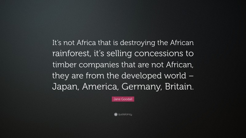 Jane Goodall Quote: “It’s not Africa that is destroying the African rainforest, it’s selling concessions to timber companies that are not African, they are from the developed world – Japan, America, Germany, Britain.”