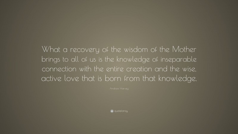 Andrew Harvey Quote: “What a recovery of the wisdom of the Mother brings to all of us is the knowledge of inseparable connection with the entire creation and the wise, active love that is born from that knowledge.”