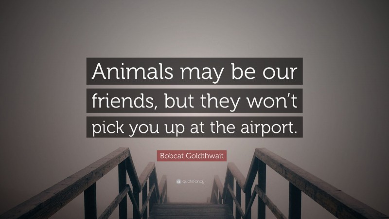 Bobcat Goldthwait Quote: “Animals may be our friends, but they won’t pick you up at the airport.”