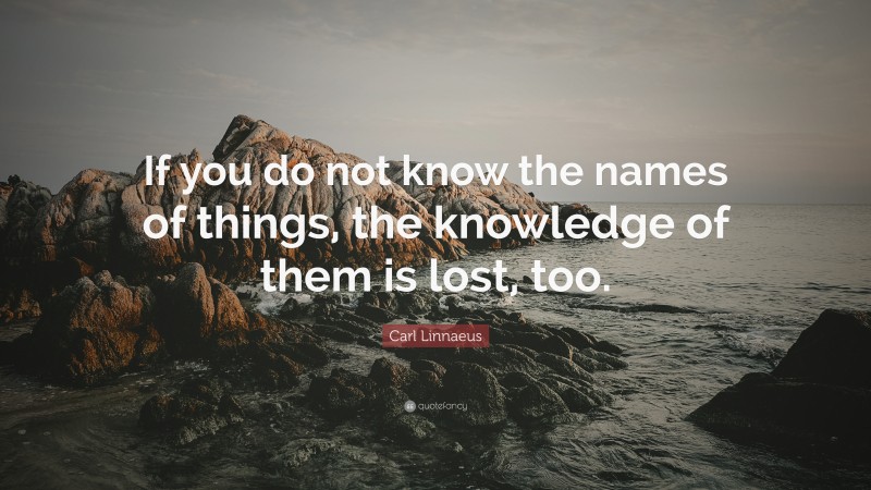 Carl Linnaeus Quote: “If you do not know the names of things, the knowledge of them is lost, too.”