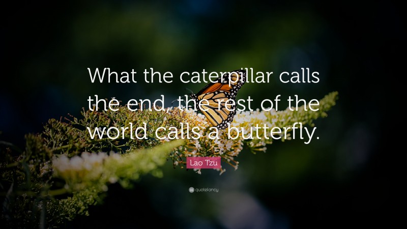 Lao Tzu Quote: “What the caterpillar calls the end, the rest of the world calls a butterfly.”