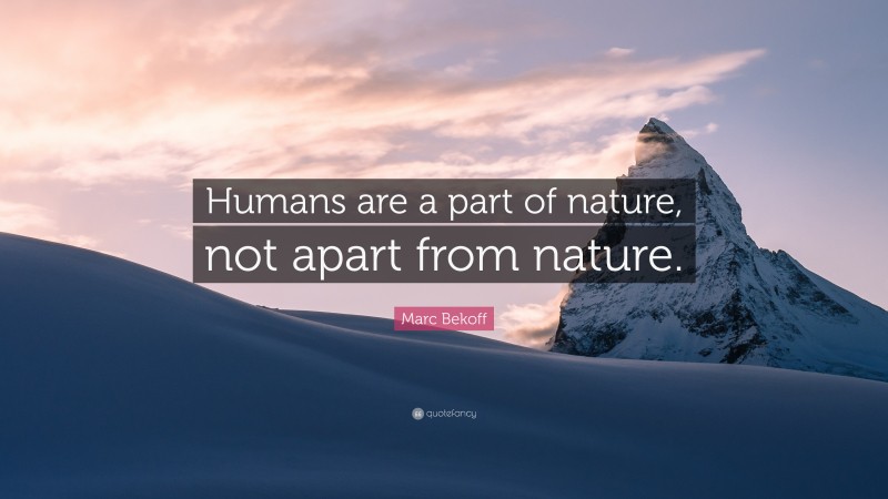 Marc Bekoff Quote: “Humans are a part of nature, not apart from nature.”