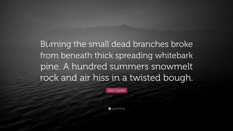 Gary Snyder Quote: “Burning the small dead branches broke from beneath thick spreading whitebark pine. A hundred summers snowmelt rock and air hiss in a twisted bough.”