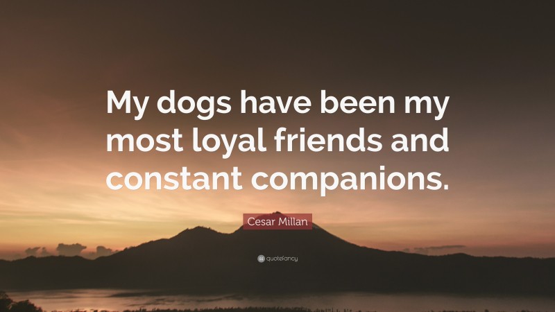 Cesar Millan Quote: “My dogs have been my most loyal friends and constant companions.”
