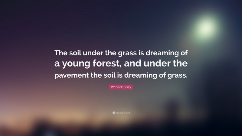 Wendell Berry Quote: “The soil under the grass is dreaming of a young forest, and under the pavement the soil is dreaming of grass.”