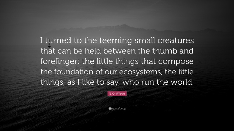 E. O. Wilson Quote: “I turned to the teeming small creatures that can be held between the thumb and forefinger: the little things that compose the foundation of our ecosystems, the little things, as I like to say, who run the world.”