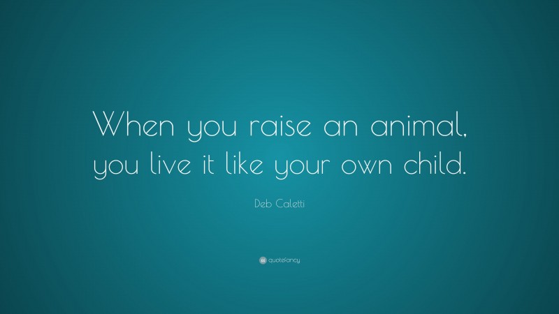 Deb Caletti Quote: “When you raise an animal, you live it like your own child.”
