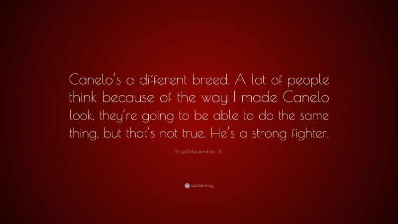 Floyd Mayweather, Jr. Quote: “Canelo’s a different breed. A lot of people think because of the way I made Canelo look, they’re going to be able to do the same thing, but that’s not true. He’s a strong fighter.”