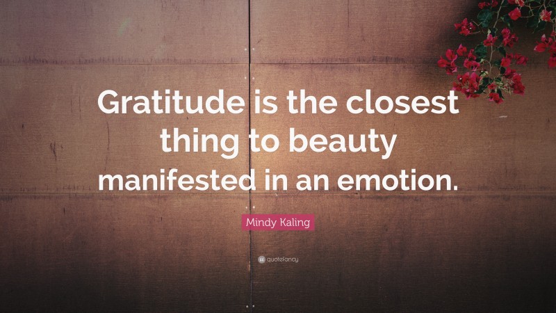 Mindy Kaling Quote: “Gratitude is the closest thing to beauty manifested in an emotion.”