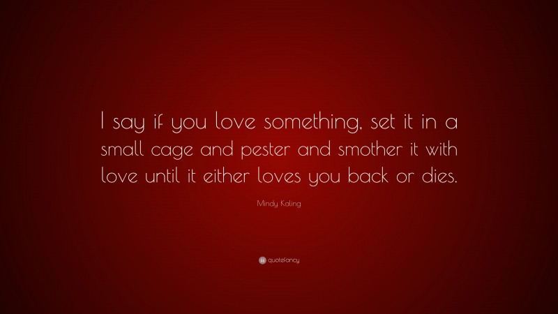 Mindy Kaling Quote: “I say if you love something, set it in a small cage and pester and smother it with love until it either loves you back or dies.”