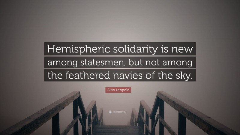 Aldo Leopold Quote: “Hemispheric solidarity is new among statesmen, but not among the feathered navies of the sky.”